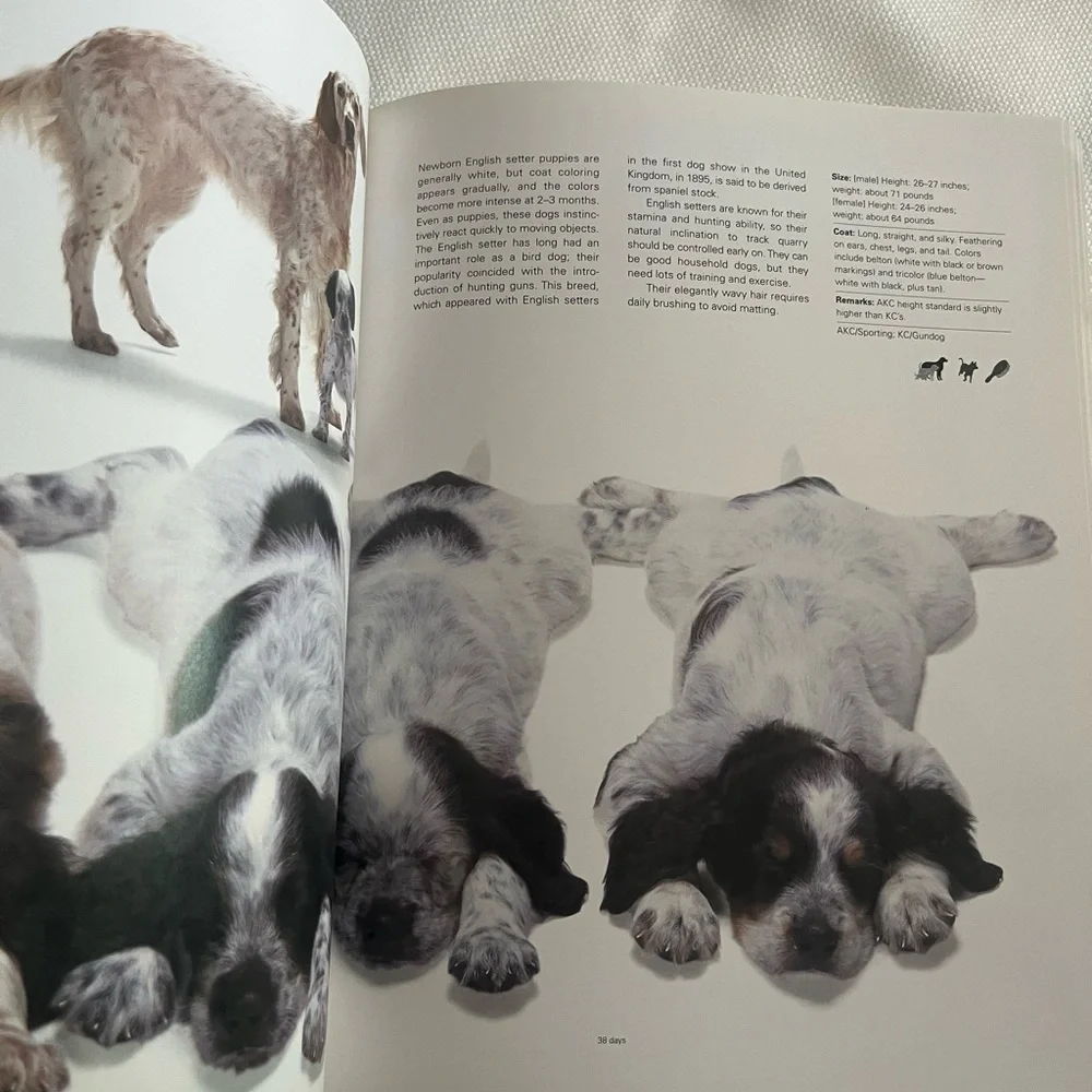 Legacy of the Puppy Book